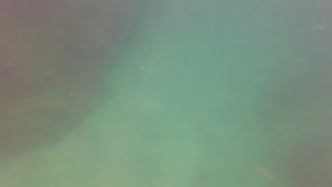 SAN JOSE DEL CABO BCS MEXICO-2023: A Black Object Floating In A Body Of Water Stock Footage 245838488