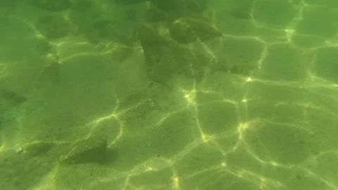 SAN JOSE DEL CABO BCS MEXICO-2023: A Body Of Water That Has Some Plants In It Stock Footage 245838756