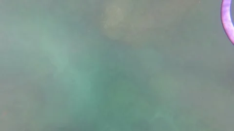 SAN JOSE DEL CABO BCS MEXICO-2023: A Purple Kite Flying Over A Body Of Water Stock Footage 245838904
