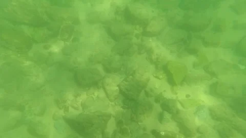 SAN JOSE DEL CABO BCS MEXICO-2023: A View Of The Bottom Of A Body Of Water Stock Footage 245839699