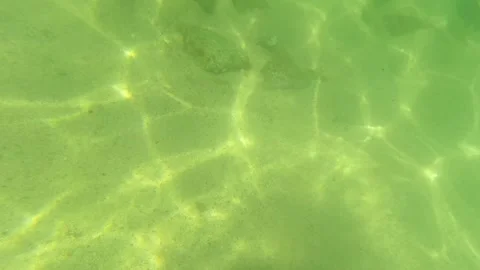 SAN JOSE DEL CABO BCS MEXICO-2023: A Body Of Water With A Small Amount Of Water Stock Footage 245839937