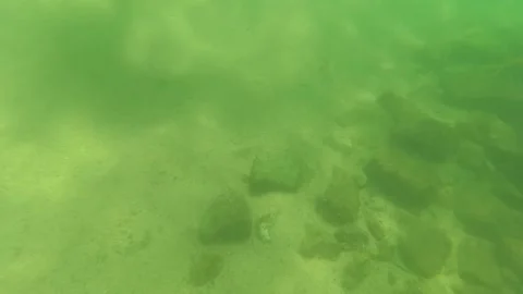 SAN JOSE DEL CABO BCS MEXICO-2023: A Body Of Water That Has Some Rocks In It Stock Footage 245840091