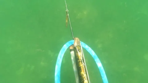 SAN JOSE DEL CABO BCS MEXICO-2023: A Close Up Of A Fishing Pole In The Water Stock Footage 245840227