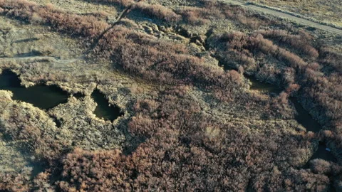 San Juan river bottom 库存影片 133443141