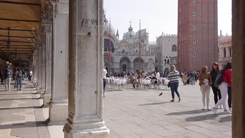 San Marco Square in Venice Stock Footage 77571886
