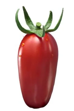 San Marzano paste tomato, paths Stock Photos
