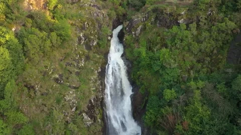 San Paio Waterfall Plunging Through Lush Green Foliage Stock Footage 294764469