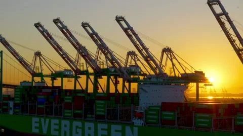 San Pedro, CA, USA – June 14, 2026: Container ship docked at port terminal Vídeos de archivo 336660948