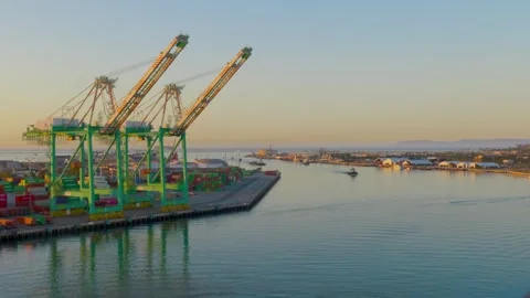 San Pedro, CA, USA – June 9, 2026: Container cranes at cargo port terminal Stock Footage 336661027