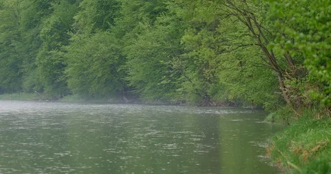 San river in spring. Calm, small river in spring time.  Vidéo 89402574