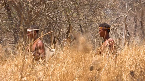 San tribal bushman hunters in Namibia Africa, walk quiety, sniff the air and Stock Footage 113105369
