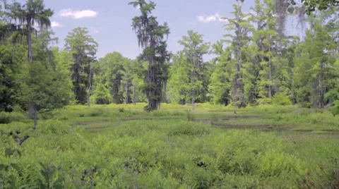 Sanctuary Stock Footage 7763921