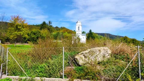 Sanctuary in Nature Stock Footage 292861344