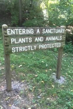 Sanctuary Stock Photos