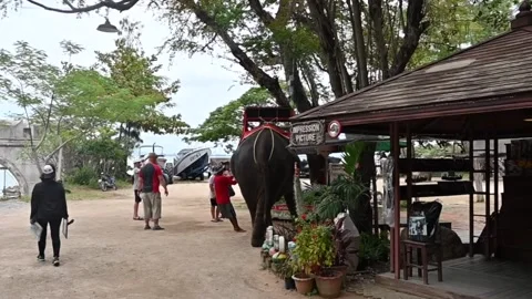 The Sanctuary of Truth Video stock 161482538