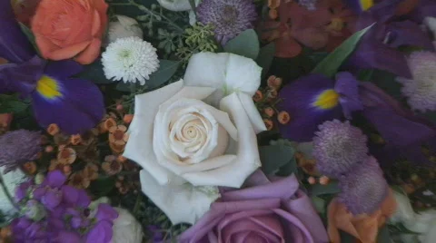 Sanctuary04 Stock Footage 556709