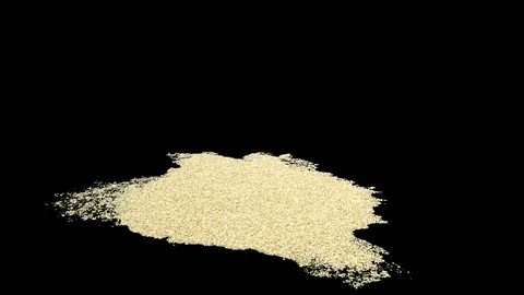 Sand 0 to ground Stock-Footage 113145947