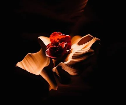 Sand abstract cosmic asteroid object, liquid shape form on black background Stock Illustration