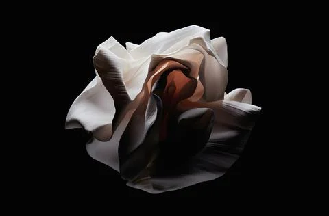 Sand abstract cosmic asteroid object, liquid shape form on black background Stock Illustration