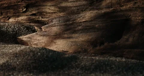Sand and aged wood texture. Stock Footage 273572058