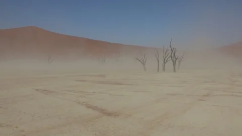 Sand and dust storm in deadvlei (Sossusvlei), natural landmark in Namibia des Stock Footage