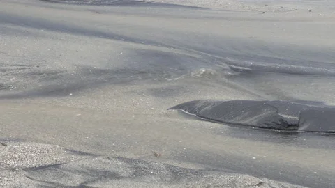 Sand and earth on the beach which mix together during the rainy season. Stock Footage 159084977