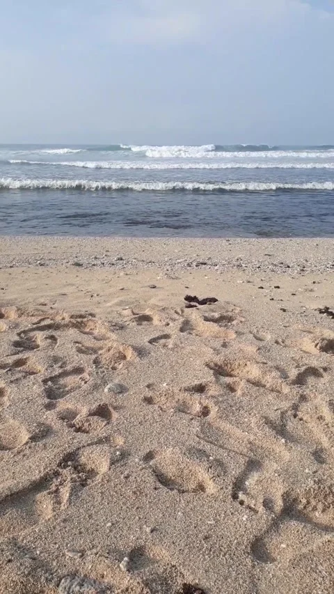 Sand and ocean Stock Footage 243317960