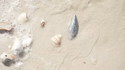 SAND AND OCEAN WAVES Stock Footage 300053594