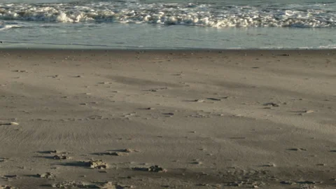 Sand and Ocean Waves at Sunset with Slow Tilt-Up Stock Footage 185096520