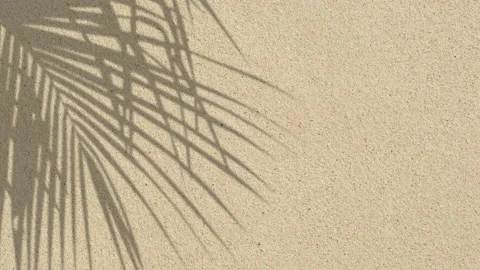 Sand and Palm Shadow Stock Footage 137260161