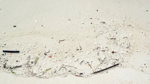 Sand and sea Stock Footage 45029702