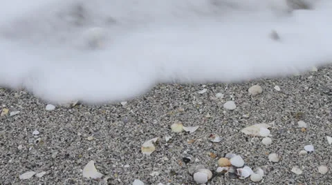 Sand and seashells washed out by wave at shore Video stock 22573192