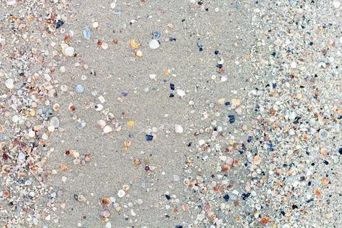Sand and shell Background for design Stock Photos