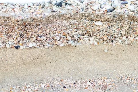 Sand and shell Background for design Stock Photos