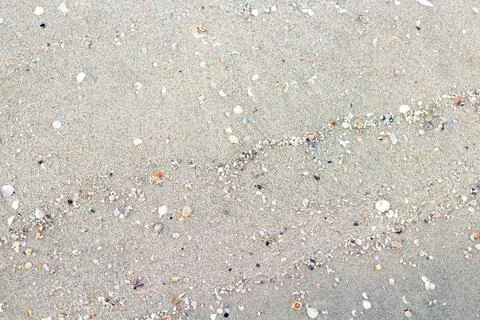 Sand and shell Background for design Stock Photos