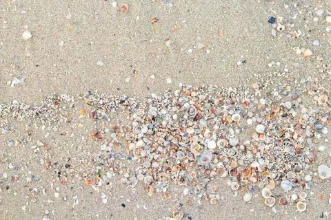 Sand and shell Background for design Stock Photos