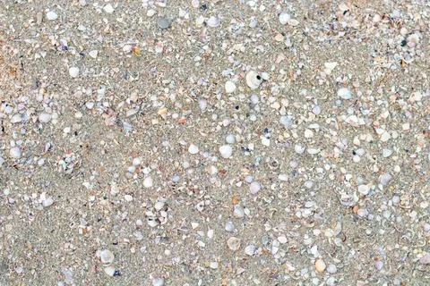 Sand and shell Background for design Stockfoto's