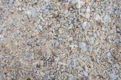Sand and shell background. Stock Photos