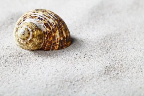 Sand and shell Stock Photos