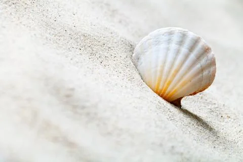 Sand and shell Stock Photos