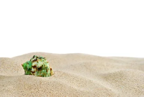 Sand and shell Stock Photos