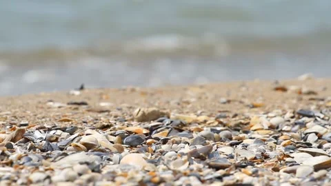 Sand and shells on the background of sea Stock-Footage 111392830