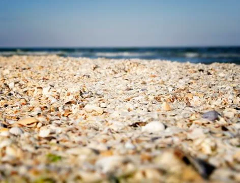Sand and shells on beach. Stock Photos