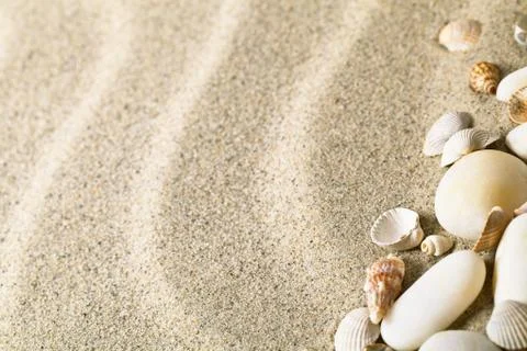 Sand and shells Stock Photos