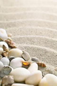 Sand and shells Stock Photos