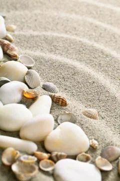 Sand and shells Stock Photos