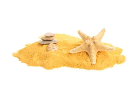 Sand and shells. Stock Photos