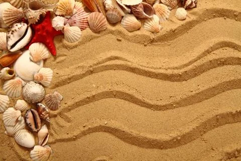 Sand and shells as very nice background Stock Photos