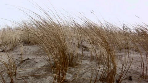 Sand and Sky in Dunes Stock Footage 35504564