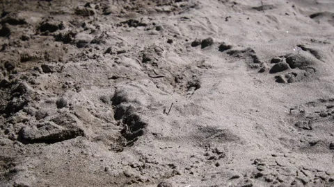 Sand and smooth gentle waves on blue lagoon creek Stock Footage 172570313